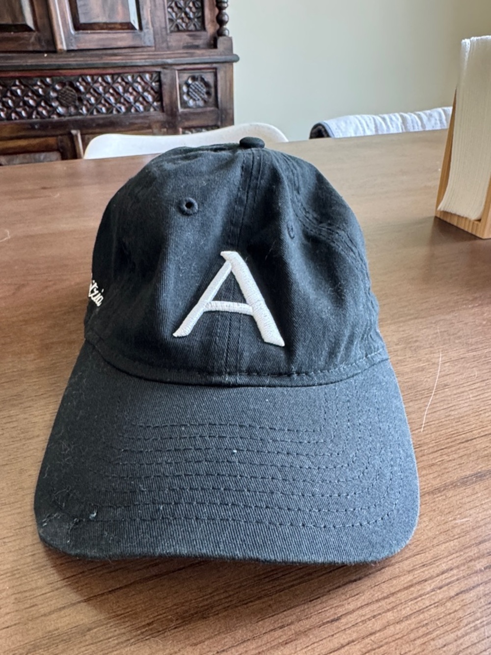 ARITZIA Women’s cap